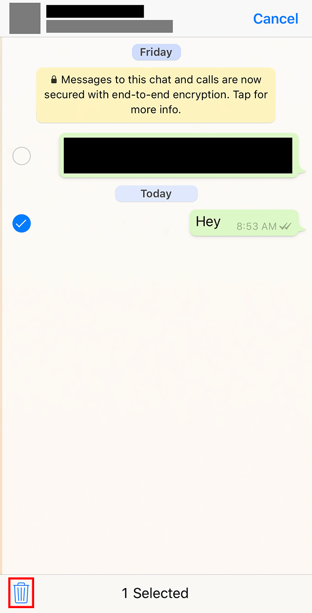 WhatsApp Here's How to Delete a Message