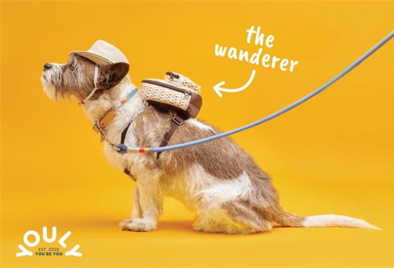 Petco Let the Dogs Out for Facebook Live The Perfect Fit