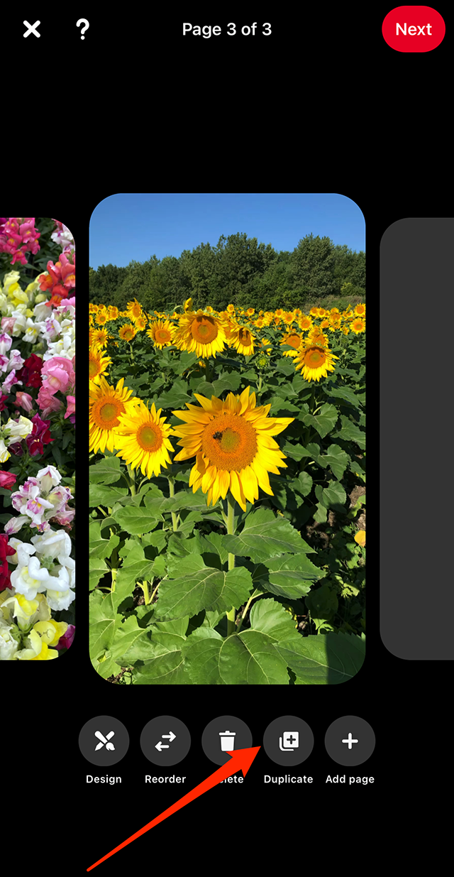 Pinterest How to Duplicate a Page in a Story Pin