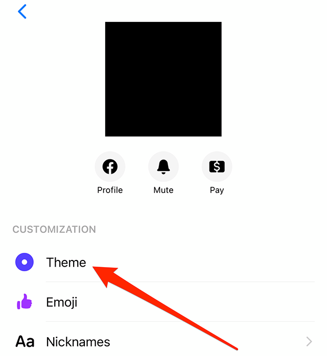 Screenshot of the Settings screen for a Messenger From Facebook conversation with a red arrow pointing at "Theme"