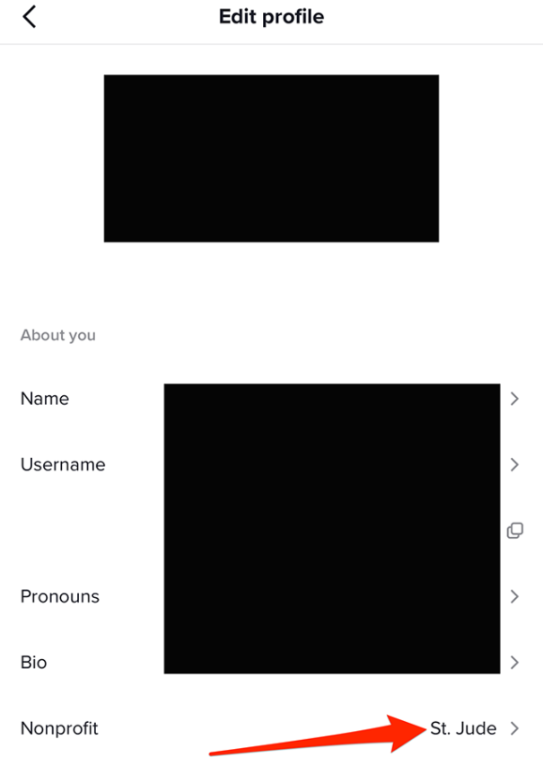 TikTok How to Add a Nonprofit to Your Profile