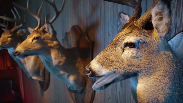 Johnsonville Pays Homage to Budweiser's Classic 1995 Super Bowl Ad With The Frogs