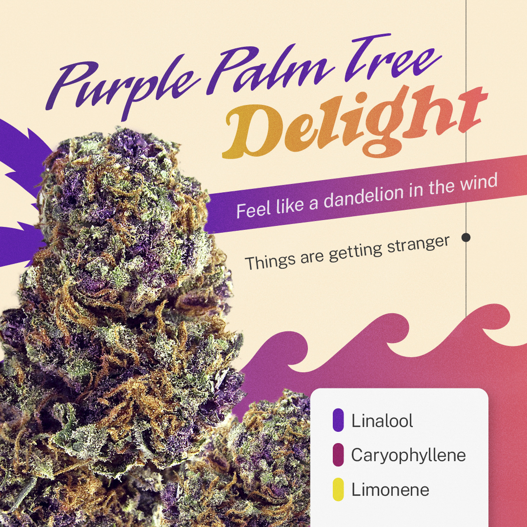 Stranger Things Weed Strain Appears on Leafly