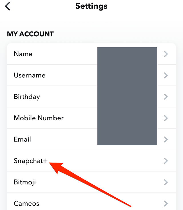 Screenshot of Snapchat's "Settings" menu with a red arrow pointing at "Snapchat+"