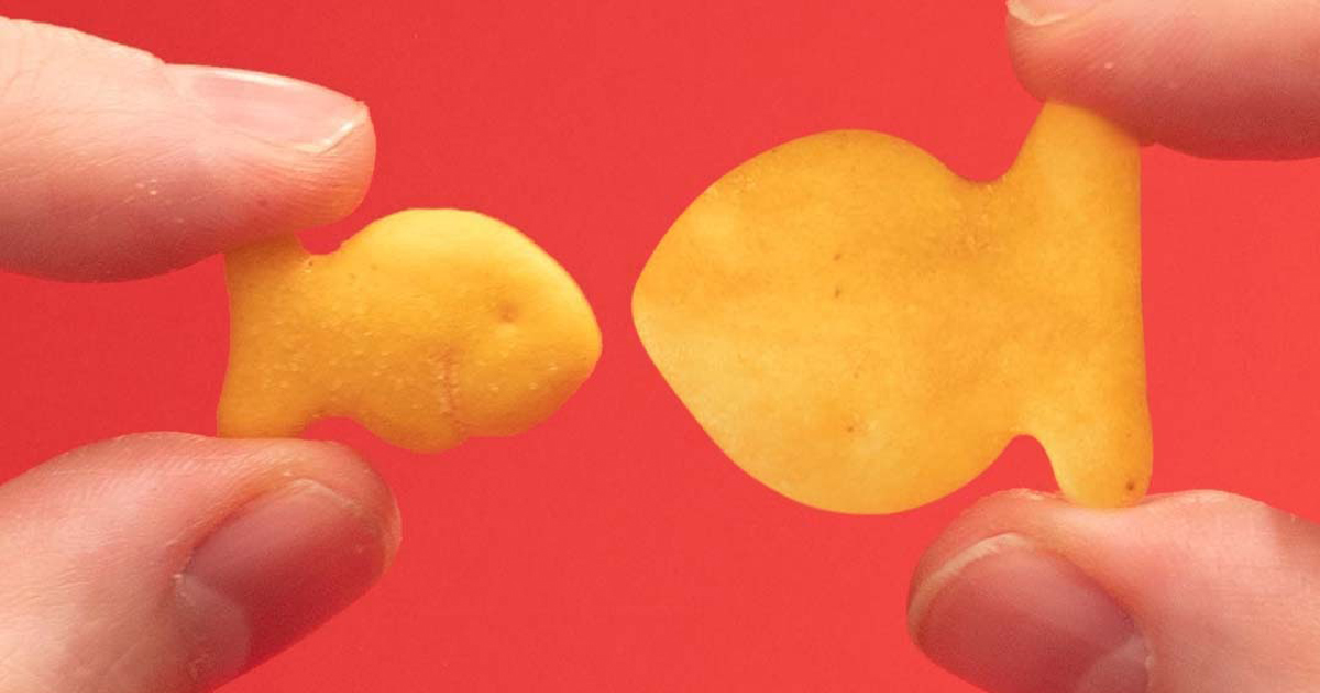 How the Goldfish Cracker Swam Its Way Into Space