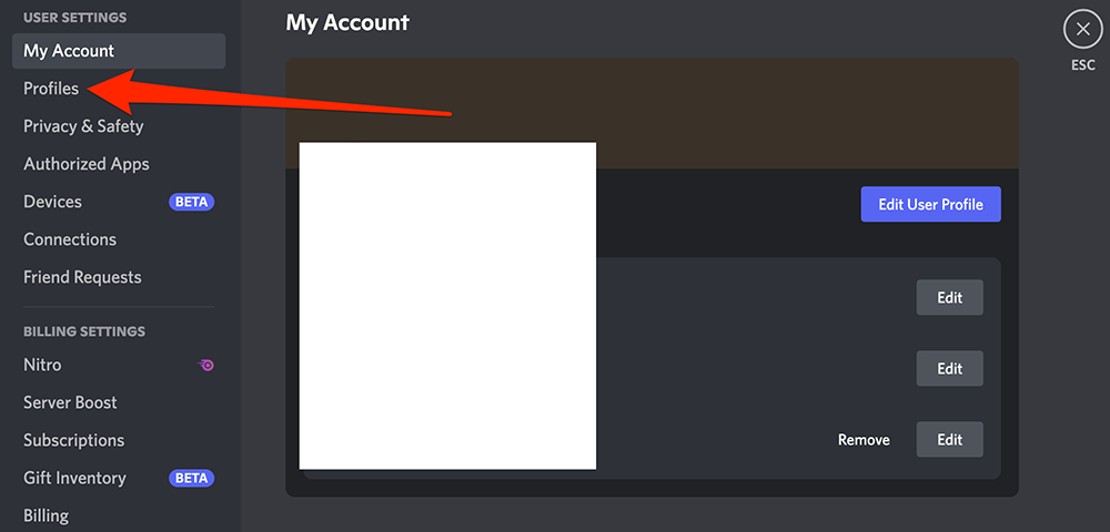 Screenshot of the settings menu in the Discord desktop application with a red arrow pointing at "Profiles" on the left side of the screen