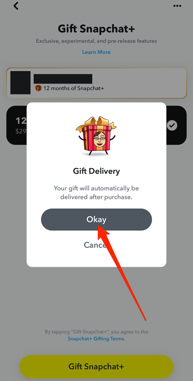 Snapchat How to Give Snapchat+ to a Friend