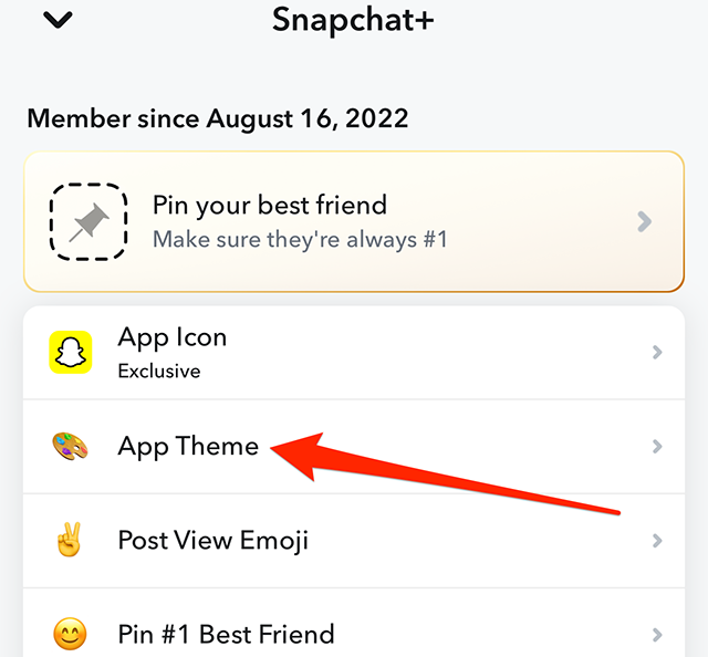 Screenshot of Snapchat's "Snapchat+" menu with a red arrow pointing at "App Theme"