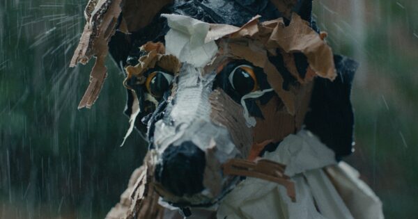 This Challenger Brand Aims to Shake Up the Pet Food Category